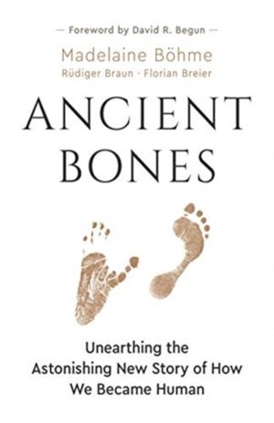Ancient Bones - Unearthing the Astonishing New Story of How We Became Human