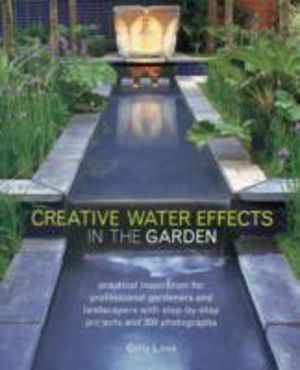 Creative Water Effects in the Garden - Practical Inspiration for Profession