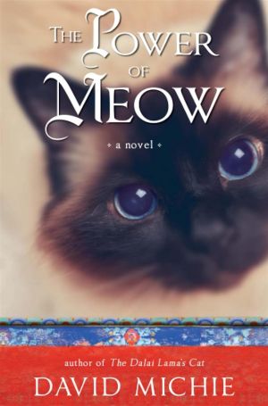 Power of meow