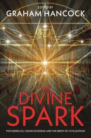 Divine spark - psychedelics, consciousness and the birth of civilization