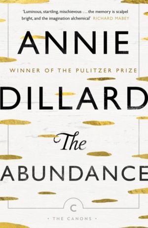Abundance