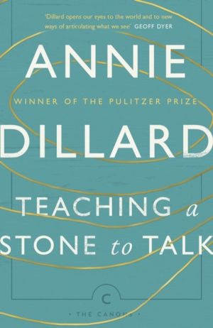 Teaching a Stone to Talk - Expeditions and Encounters
