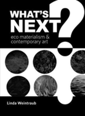 What's Next? - Eco Materialism and Contemporary Art