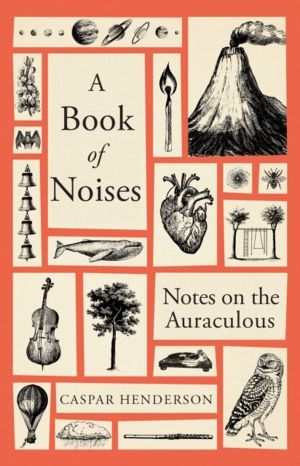 Book of Noises - Notes on the Auraculous