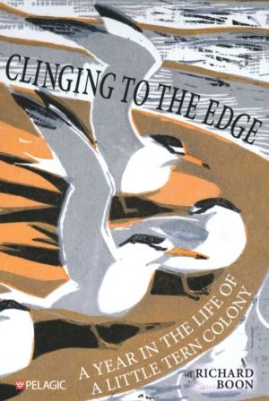 Clinging to the Edge - A Year in the Life of a Little Tern Colony