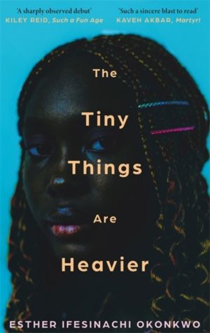 Tiny Things Are Heavier - Longlisted for the Dylan Thomas Prize 2026