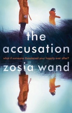 Accusation
