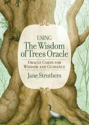 Wisdom of Trees Oracle - Inspirational Cards for Wisdom and Guidance