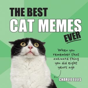 Best Cat Memes Ever - The Funniest Relatable Memes as Told by Cats
