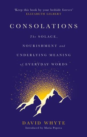 Consolations - The Solace, Nourishment and Underlying Meaning of Everyday W