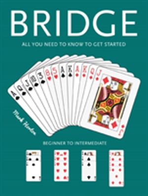 Bridge - Beginner to Intermediate