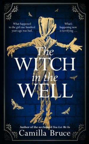 Witch in the Well - A deliciously disturbing Gothic tale of a revenge reach