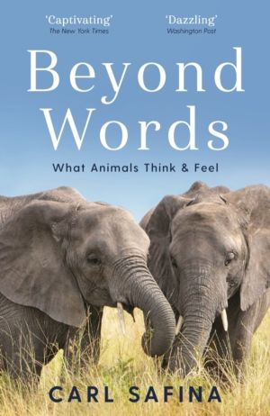 Beyond Words - What Animals Think and Feel
