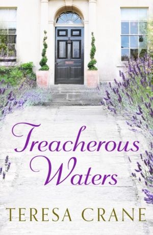 Treacherous Waters - A love story full of twists