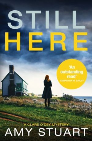 Still Here - An absolutely gripping private investigator crime novel