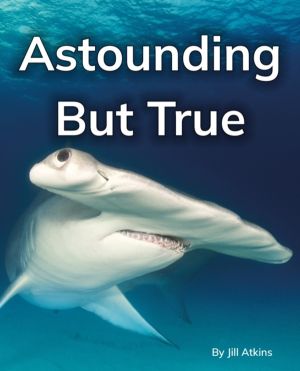 Astounding But True - Phonics Phase 5