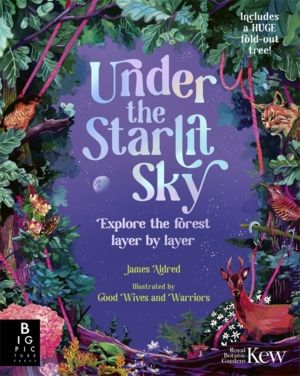 Under the Starlit Sky - Explore the Forest Layer By Layer