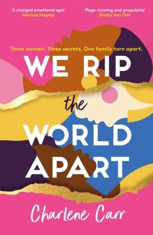 We Rip the World Apart - A sweeping story about motherhood, race and secret