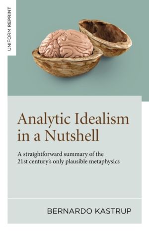 Analytic Idealism in a Nutshell - A straightforward summary of the 21st cen