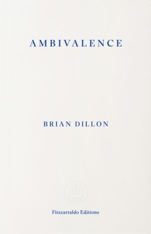 Ambivalence