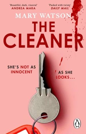 Cleaner