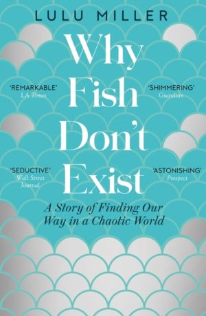 Why Fish Don't Exist - A Story of Finding Our Way in a Chaotic World