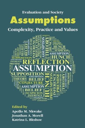 Assumptions - Complexity, Practice and Values