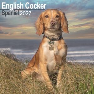 English Cocker Spaniel Wall