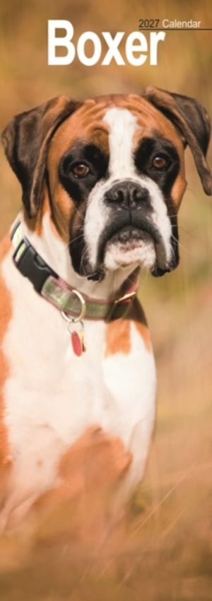 Boxer Slim