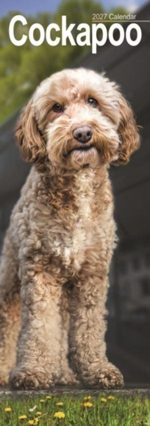 Cockapoo Slim