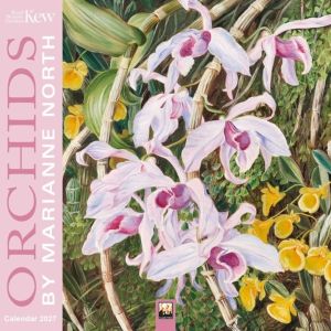 Kew Gardens: Orchids by Marianne North Mini Wall Calendar 2027 (Art Calenda
