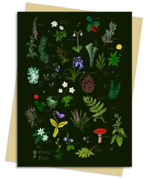 Anna Stead Forest Floor Greeting Card Pack - Pack of 6