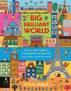Big Brilliant World - A book of first words and early foreign language skil