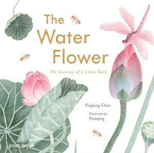 Water Flower - The Journey of a Lotus Seed