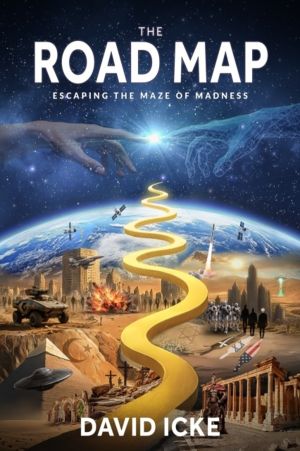 Conscious Human - And how to become one