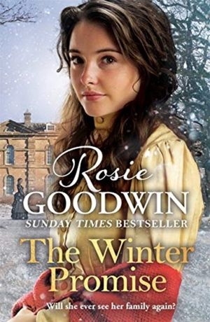 Winter Promise - A perfect cosy Victorian saga from the Sunday Times bestse