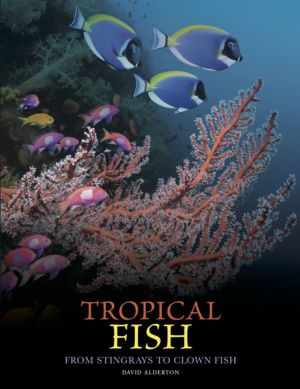 Tropical Fish - From Stingrays to Clown Fish