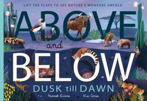 Above and Below: Dusk till Dawn - Lift the flaps to see nature's wonders un