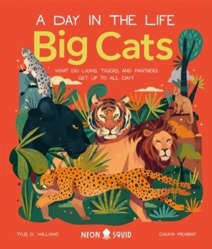 Big Cats (A Day in the Life) - What Do Lions, Tigers and Panthers Get up to