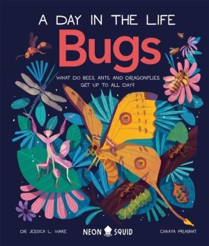 Bugs (A Day in the Life) - What Do Bees, Ants, and Dragonflies Get up to Al