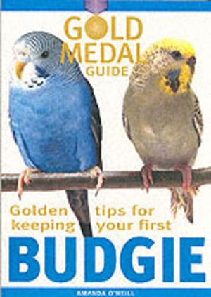 Budgie