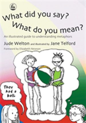 What Did You Say? What Do You Mean? - An Illustrated Guide to Understanding