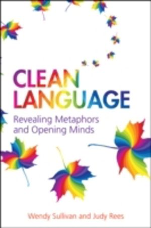 Clean Language - Revealing Metaphors and Opening Minds