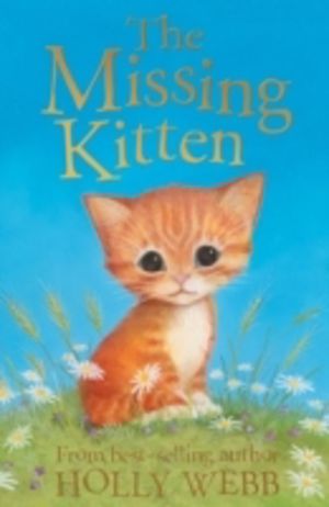 The Missing Kitten