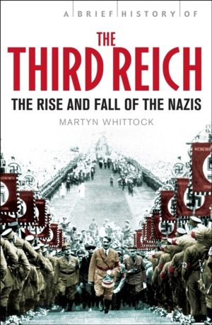 Brief History of The Third Reich - The Rise and Fall of the Nazis