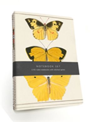 Butterfly Notebook Set - 3 A5 lined notebooks with stitched spines