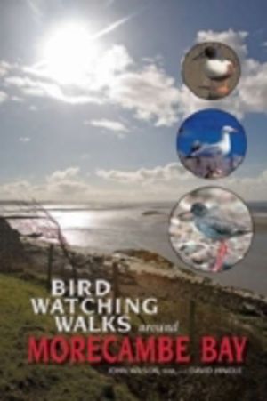 Birdwatching Walks Around Morecambe Bay