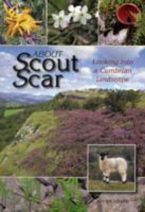 About Scout Scar - Looking into a Cumbrian Landscape