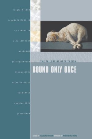 Bound Only Once - The Failure of Open Theism