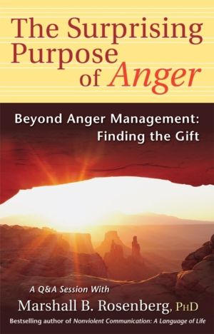 Surprising Purpose of Anger - Beyond Anger Management: Finding the Gift